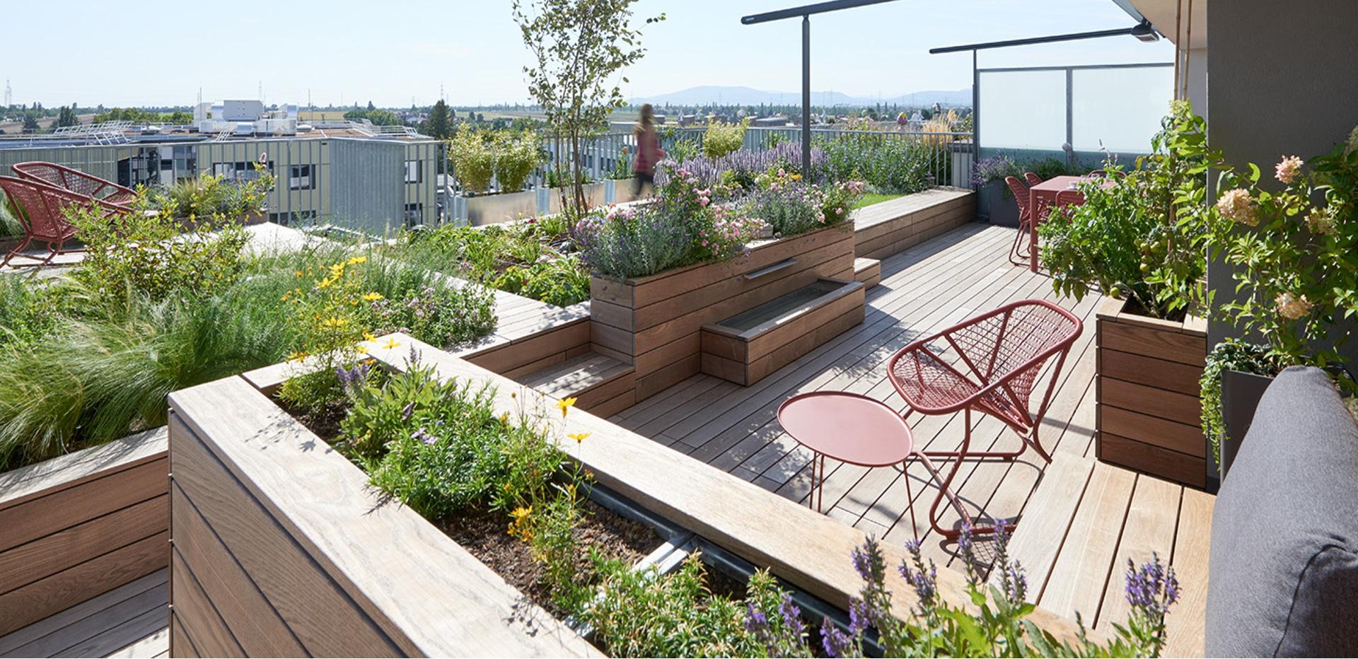 blühende terrasse blühende terrasse