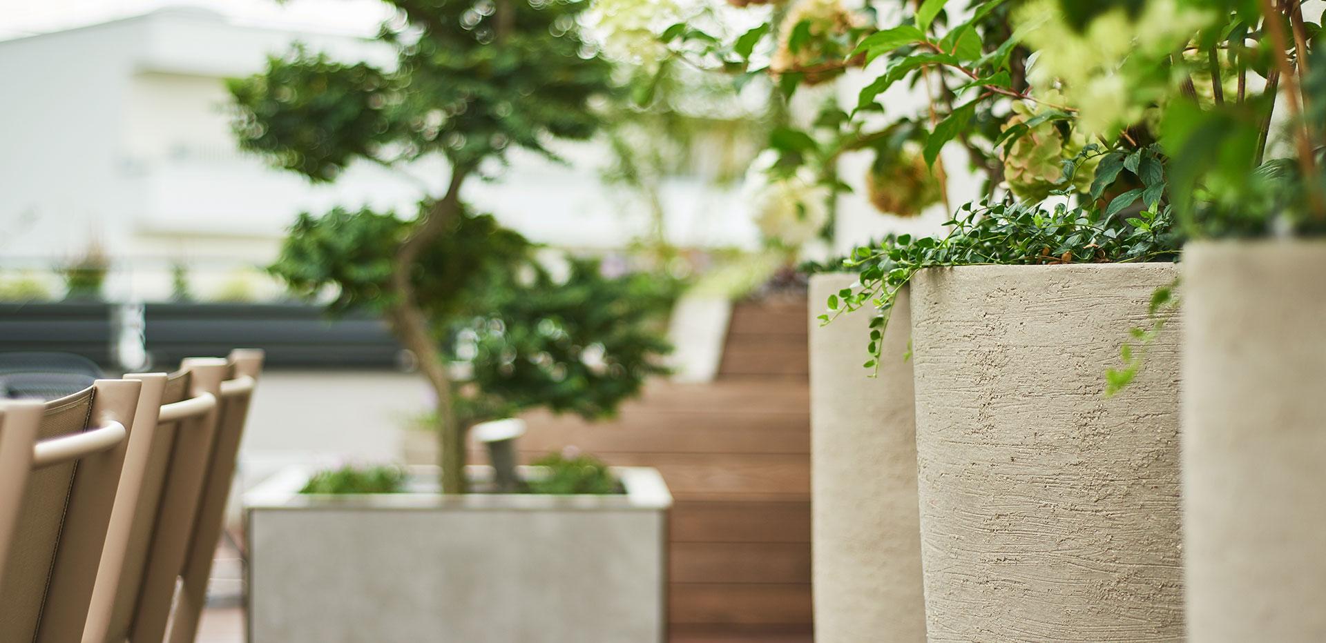 oase am dach oase am dach