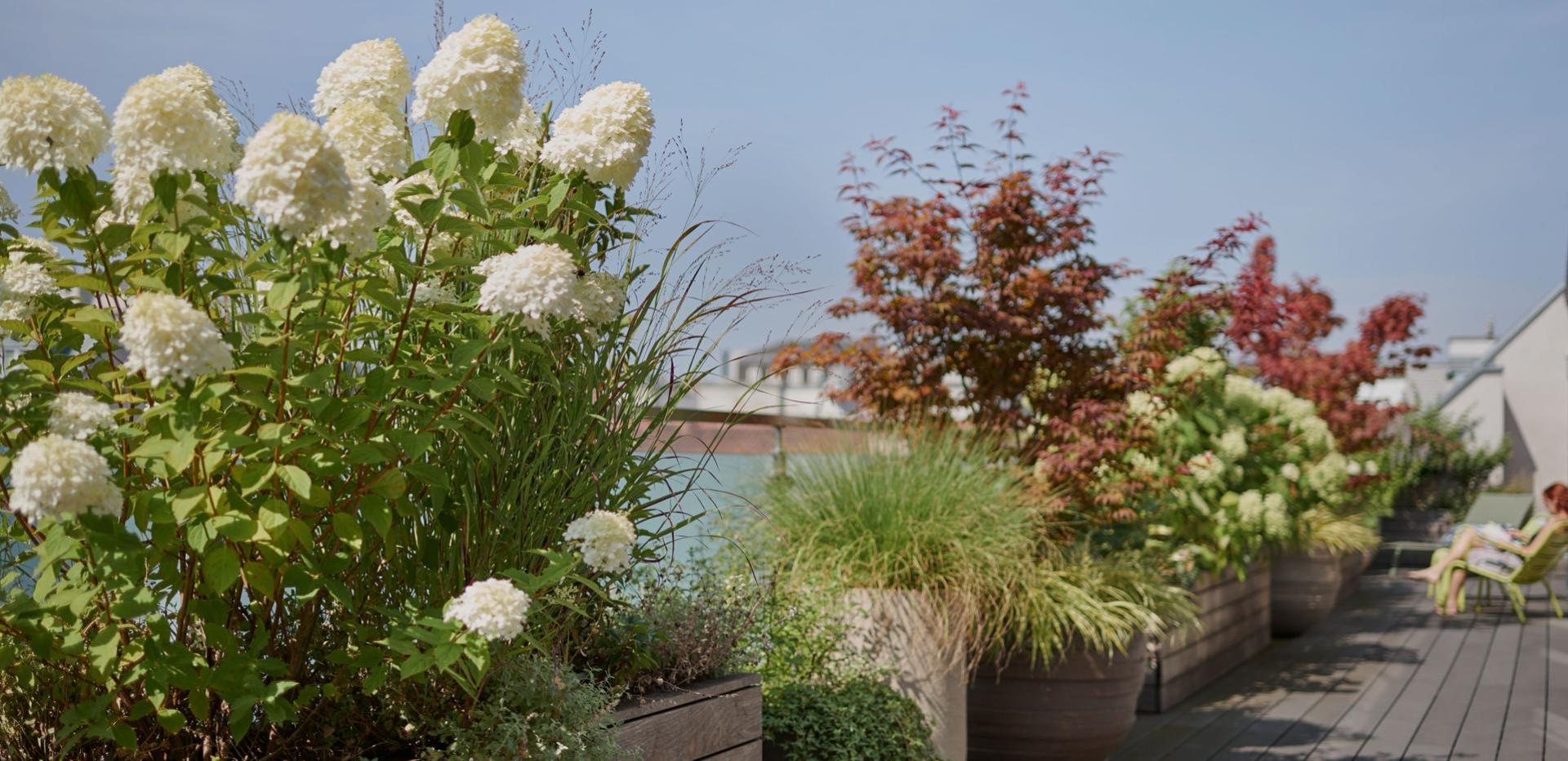 pflanzgefäße - green lifestyle pflanzgefäße - green lifestyle